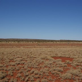 The low range of the Traegar Hills.