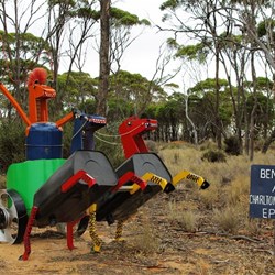 Ben Horse - on the 'Tin Horse Highway' WA