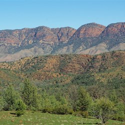 Heyson Ranges - Flinders Range N Pk SA
