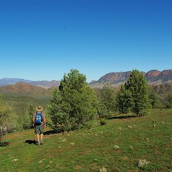 walking in the Flinders Ranges