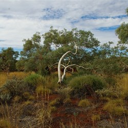 Karijini Landscape
