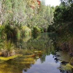 Pool above Fortescue Falls - Karijini N Pk