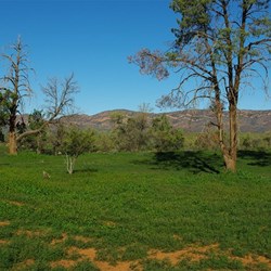 free camping near Wilpena