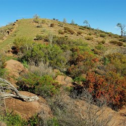 walking on the range towards the summit