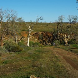 Walking the trezona Hike loop 