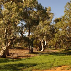 creek near the free camp 