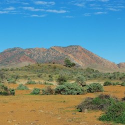Ranges in the Aroona Valley
