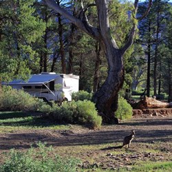 camp site at Koolaman