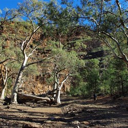 walking in the creek bed 