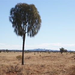 Looking west to the Ehrenbergs