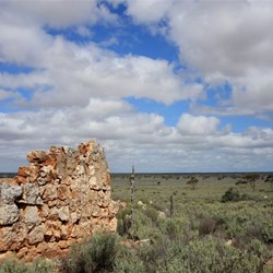 near Eucla WA