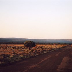 Gawler Ranges SA