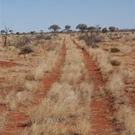 Ahh to be on the desert tracks again.