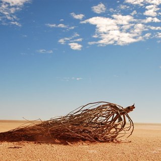 Lake Mckay desolation  (Photo- JW)