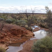 Our luncheon creek winding its short way to thirsty desert sands