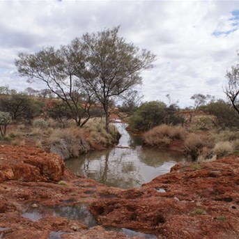 A desert rockhole brimming with water