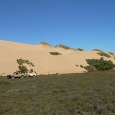 Coastal dune