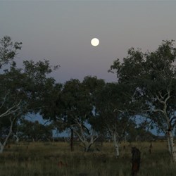A magnificent moon at Paraku