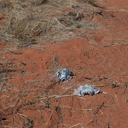 Foil - does not burn. Take it away with you