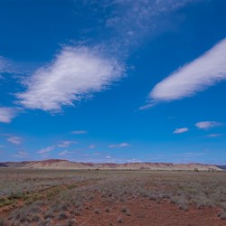Cooya Pooya Grass Plains