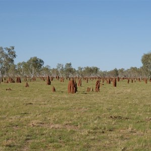 The manacured lawns of Paraku (Lake Gregory)