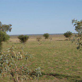 The distant blue of Lake Gregory