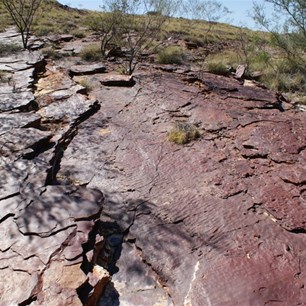 Fossilised sea floor at Gulvida Soak