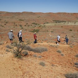 The explorers heading back to the vehicles