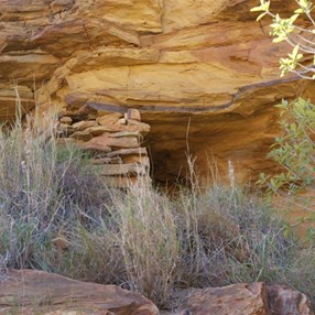 The hide at Breadon Pool