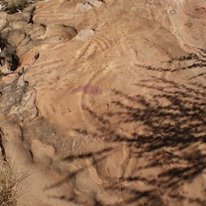 Ancient Petorglyphs at Godfrey Tank