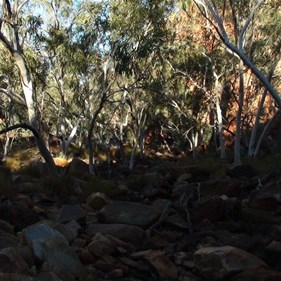 Rockhopping through the Snappy Gums towards the Desert Queen Baths