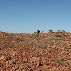 Al climbing onto the plateau.  The rocky ground still proving to be treacherous under foot