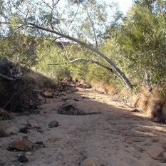 The sandy creek at the head of the main DQB Gorge