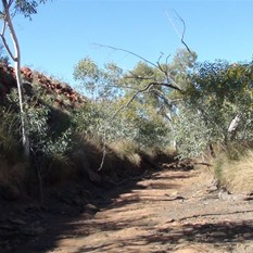 The dry upper reaches of the creek 2.5 hours in.