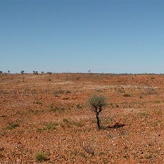 The somewhat easier going of the plateau