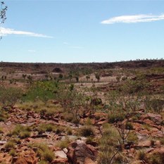 Looking north from the top of Circular Cliffs (towards the knob)