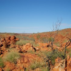 Yeah, she's rugged country alright!