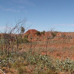 Heading across the pound area near circular cliffs
