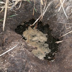 The hole at Johanna filled with water.