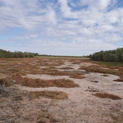 The saltbush flat you could almost land a plane on!