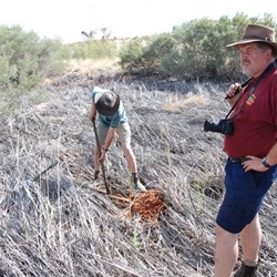 Dig you bastard dig - John searching for water at Griing Spring.
