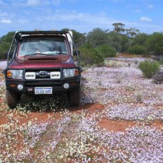 Perenjori track 2