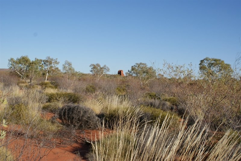 Of Rudall Rivers Rudall River - The search for Hanging Rock Native Well and then on to ...