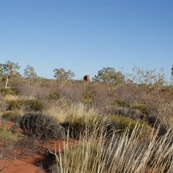 Hanging Rock viewed from the thick scrub to the east