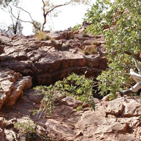 Curran Curran Rockhole