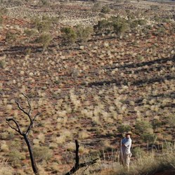 Outback Al surveying the countryside from a sand dune