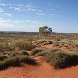 Magnificent Colours of the desert country