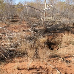 Hanging Rock Native Well?