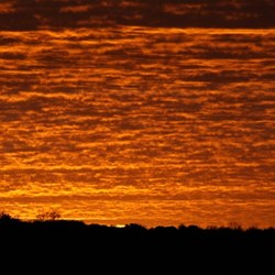 You just can't beat a Western Deserts sunset!