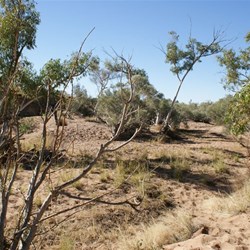 A very Dry Klakan Kalkan soak